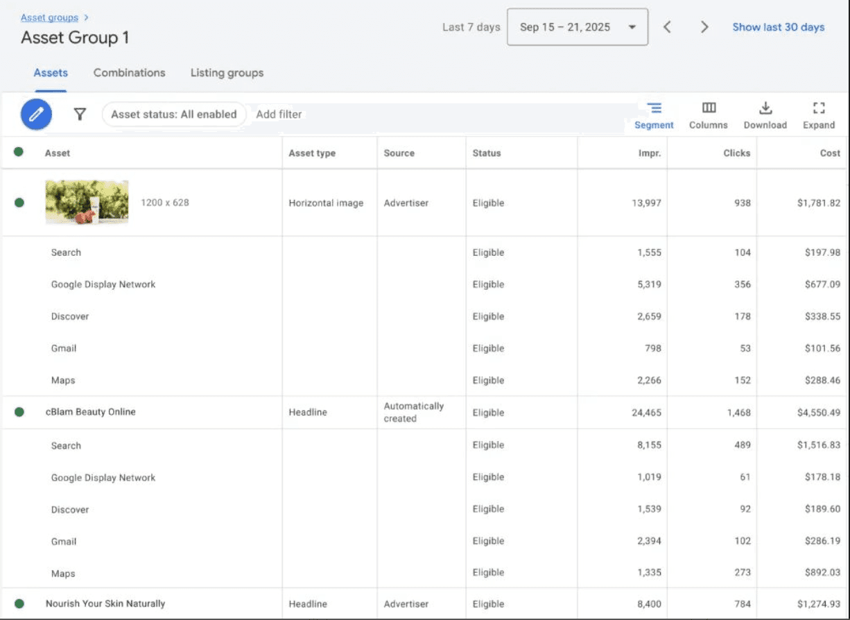 Screenshot of Google Ads reporting dashboard