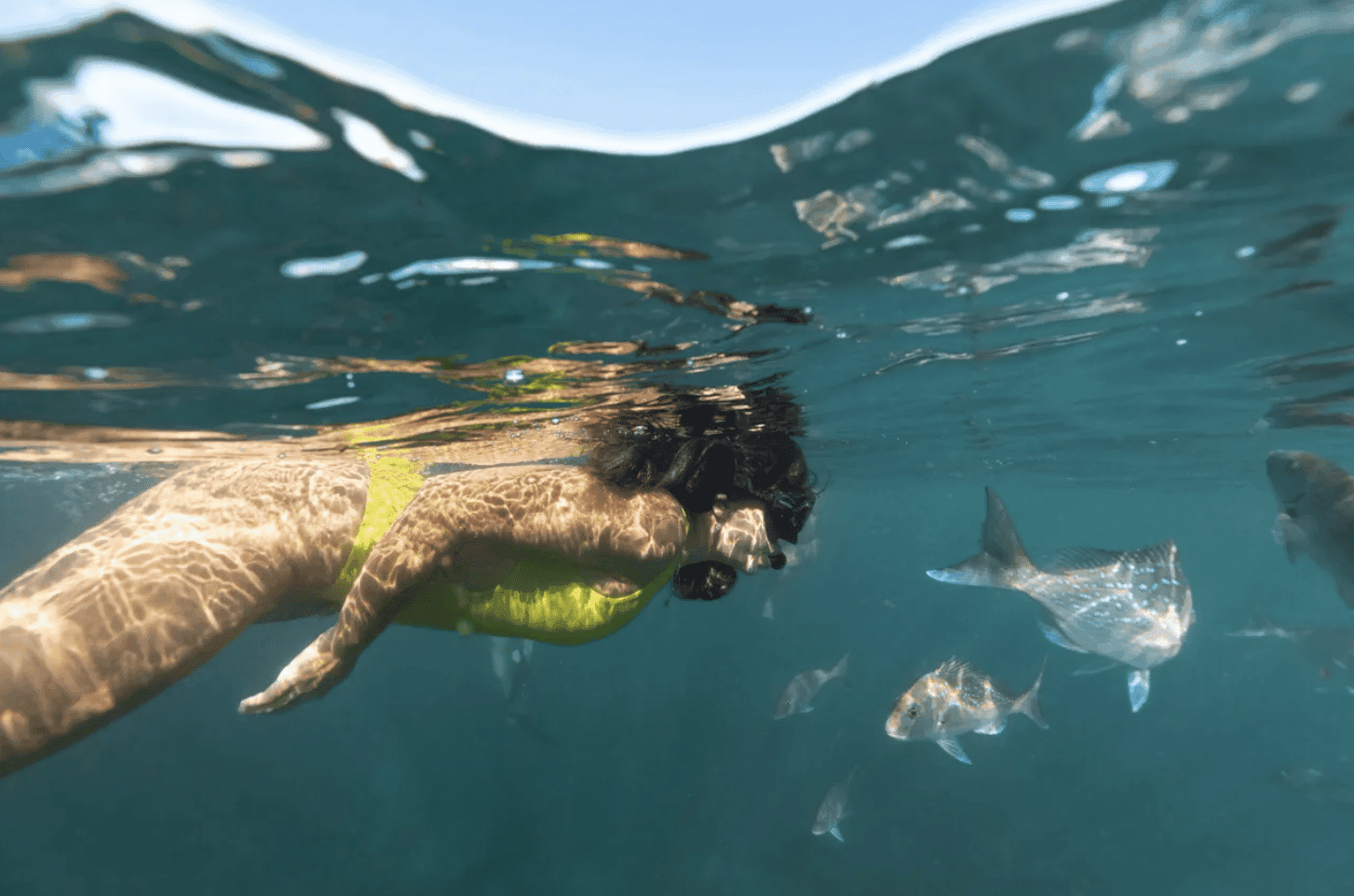 Woman in yellow bikini snorkelling with fish in New Zealand
