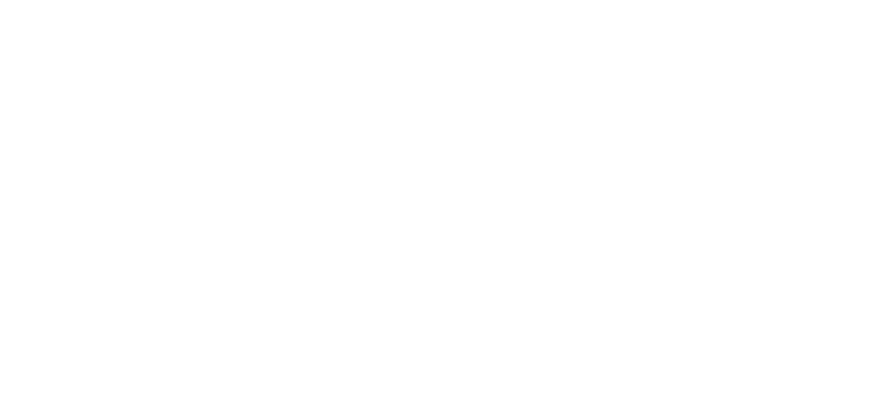 Google Partner