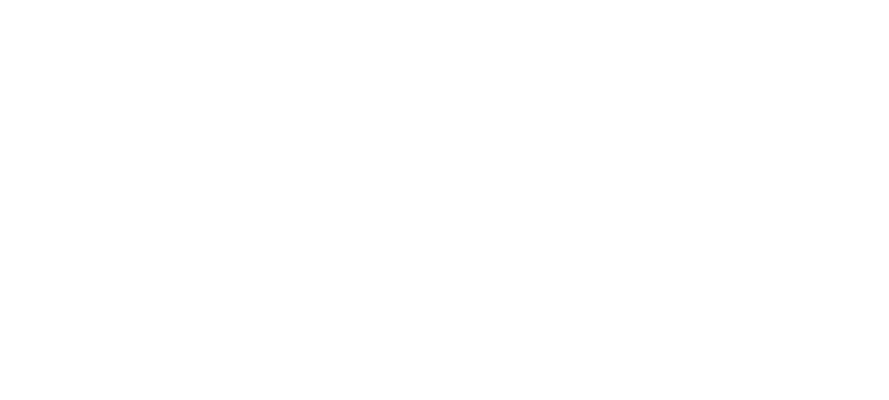 Shopify Partner