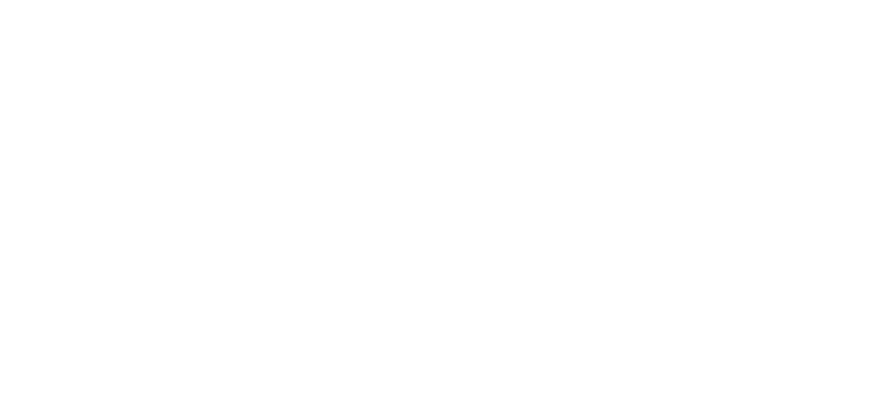 WordPress Partner