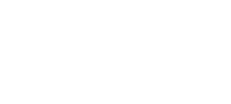 Meta Business Partner
