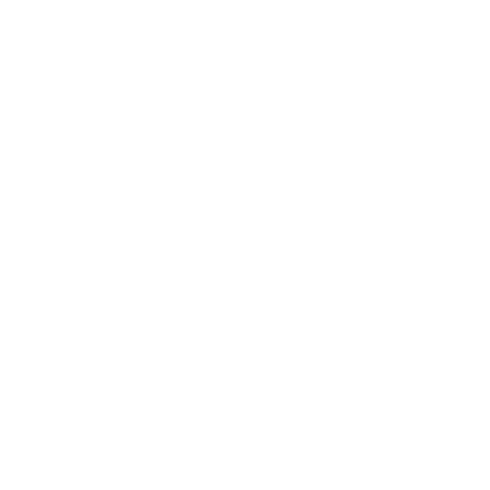 Shopify Partner Logo