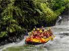 Kaituna Cascades Thumbnail